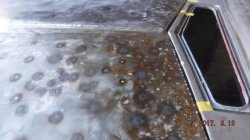 170913 54 Chevy Pickup (5).JPG